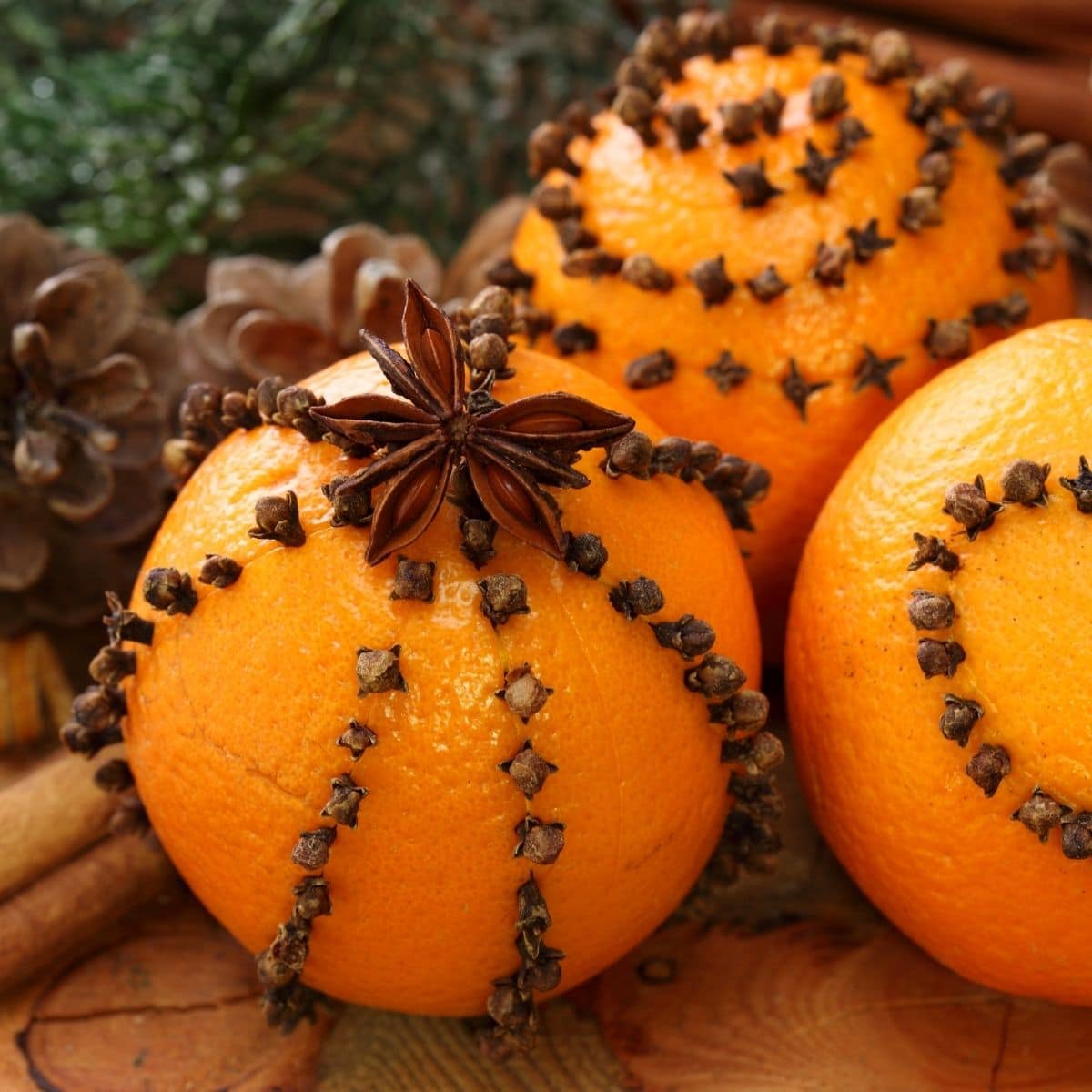 Orangen mit Nelken