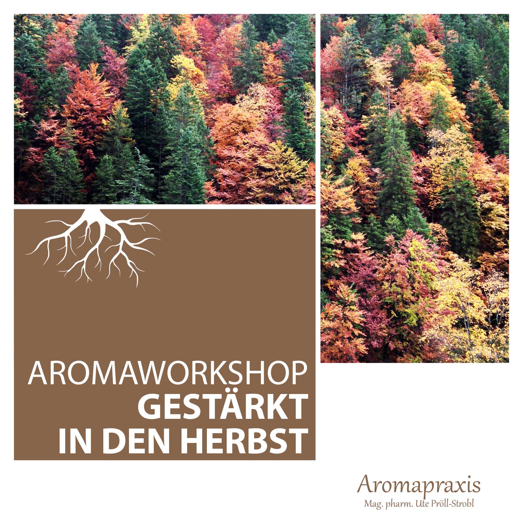 Workshop Herbst